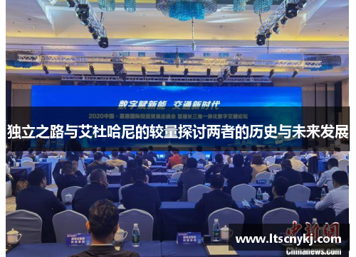 独立之路与艾杜哈尼的较量探讨两者的历史与未来发展