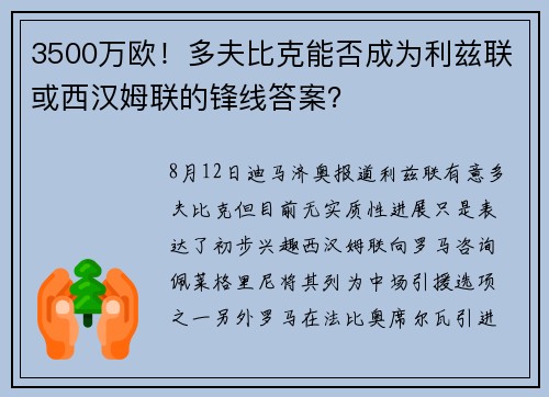 3500万欧！多夫比克能否成为利兹联或西汉姆联的锋线答案？